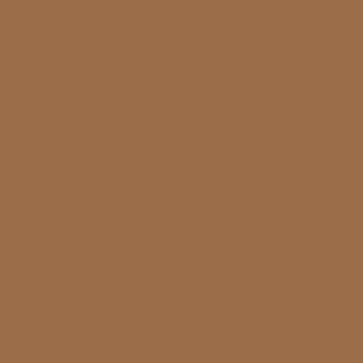 1140 Runyon Canyon Tan - Paint Color | Coast Paint