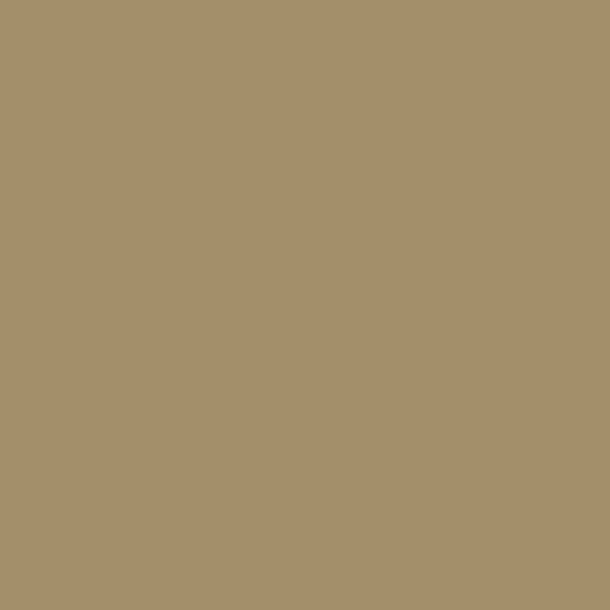 HC-20 Woodstock Tan - Paint Color | Coast Paint