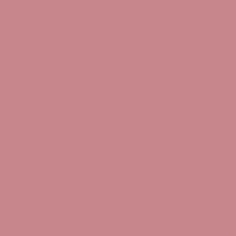 1279 Toasted Mauve Paint Color Coast Paint
