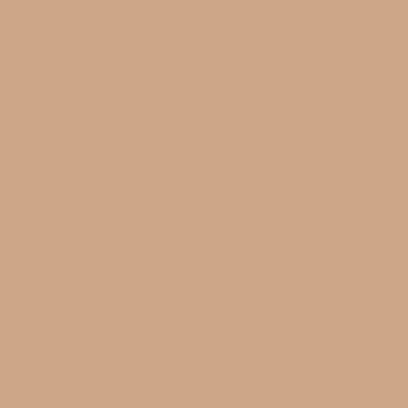 1153 Dearborn Tan Paint Color Coast Paint