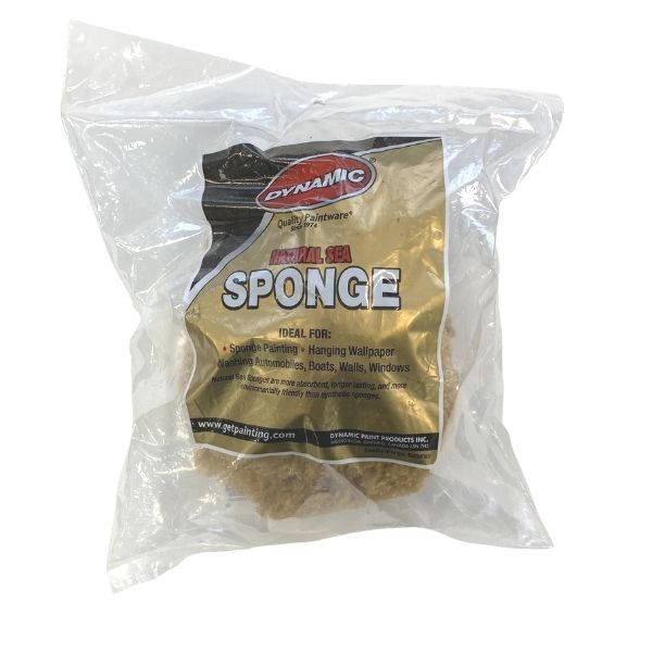 Dynamic Natural Sea Sponge